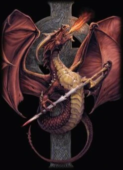 4 Pocket Portfolio Celtic Dragon