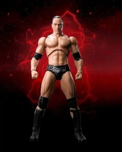 WWE Superstar Series - The Rock - S.H. Figuarts Figur -NECA Store 81fea5bkxfl. ac sl1500