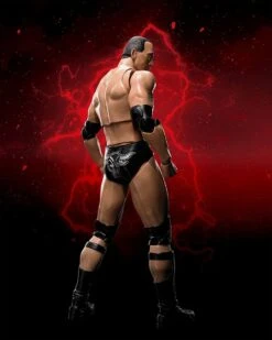 WWE Superstar Series - The Rock - S.H. Figuarts Figur -NECA Store 81h6f8v uzl. ac sl1500