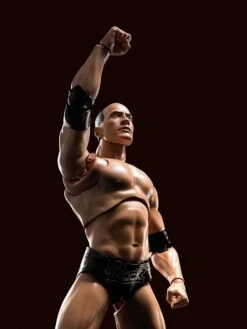 WWE Superstar Series - The Rock - S.H. Figuarts Figur -NECA Store 81igpavzhnl. ac sl1500