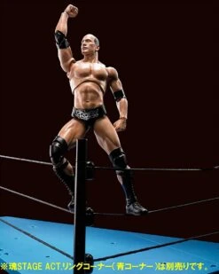 WWE Superstar Series - The Rock - S.H. Figuarts Figur -NECA Store 81mq wk9rnl. ac sl1500
