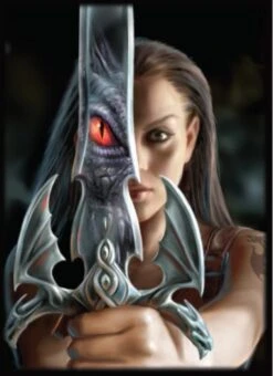 4 Pocket Portfolio Dragon Reflection