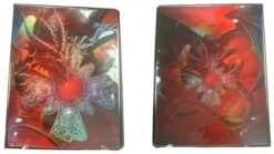 9 Pocket Portfolio Dragon Prowler