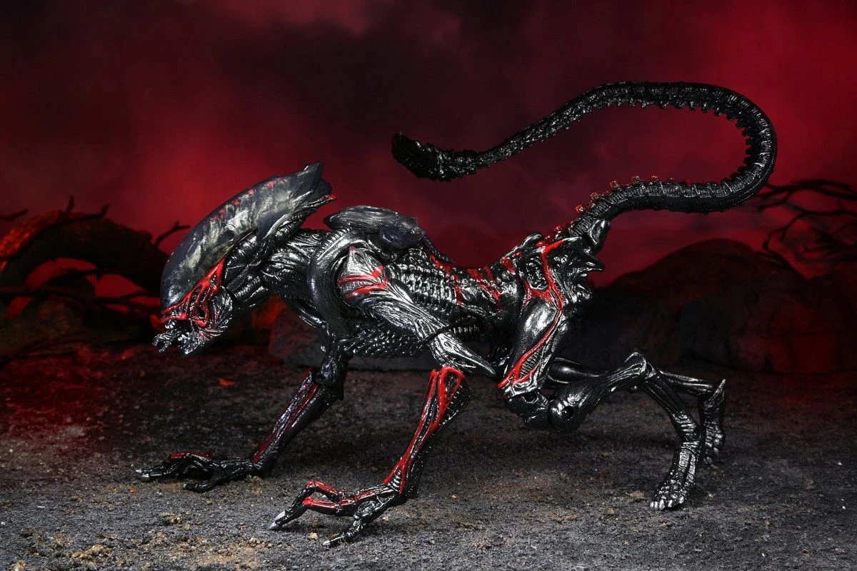 NECA Kenner Tribute Figur - Ultimate Night Cougar Alien 5 NECA Kenner Tribute Figur - Ultimate Night Cougar Alien – Bild 5