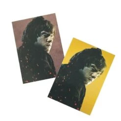 Panini Harry Potter Evolution Trading Cards Starterset (EN) -NECA Store harry potter cards 2021 beispiel gold parallel3qle1q6i45ayd 2