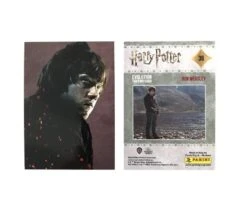Panini Harry Potter Evolution Trading Cards Booster Display (EN) -NECA Store harry potter cards 2021 beispiel rueckseite