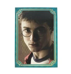 Panini Harry Potter Evolution Trading Cards Starterset (EN) -NECA Store harry potter evolution basecard 2