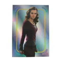 Panini Harry Potter Evolution Trading Cards Booster Display (EN) -NECA Store harry potter evolution silver parallel